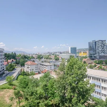 Kings View *