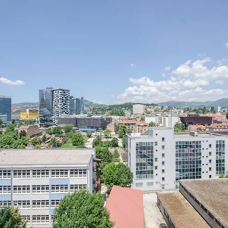 Kings View